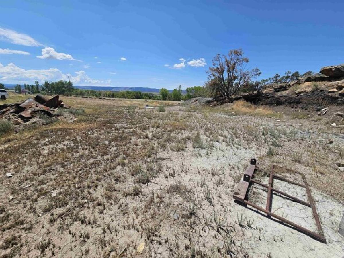 Picture of Residential Land For Sale in Nucla, Colorado, United States