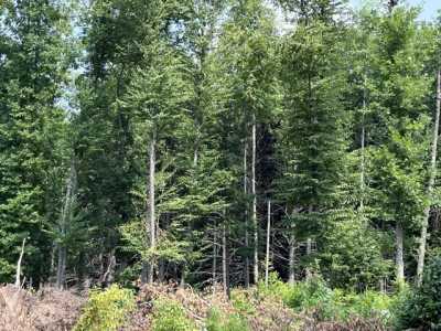 Residential Land For Sale in Cornish, Maine