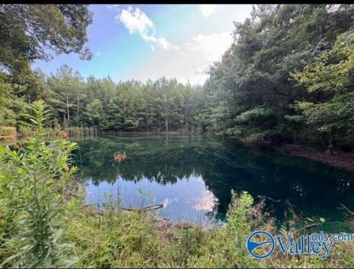 Picture of Residential Land For Sale in Piedmont, Alabama, United States