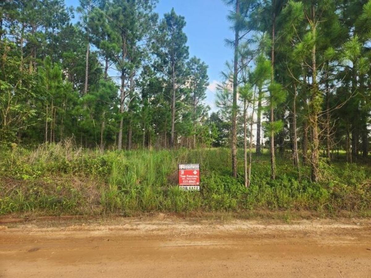 Picture of Home For Sale in Uvalda, Georgia, United States