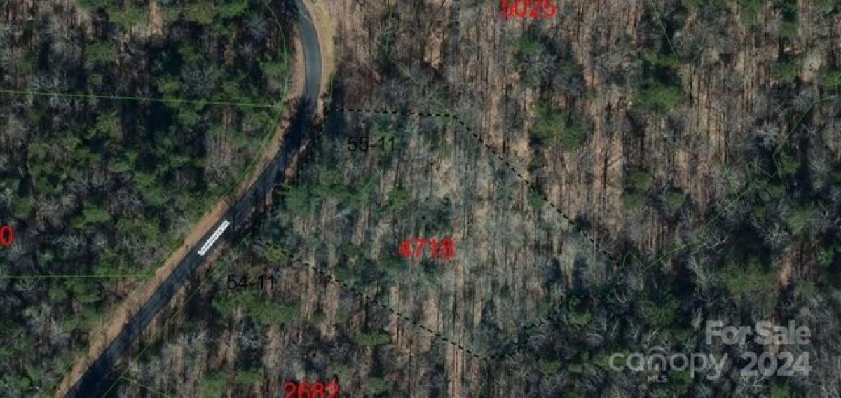 Picture of Residential Land For Sale in Nebo, North Carolina, United States