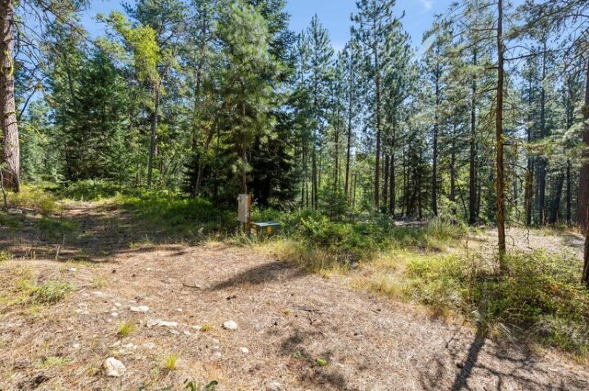 Picture of Residential Land For Sale in Stevensville, Montana, United States