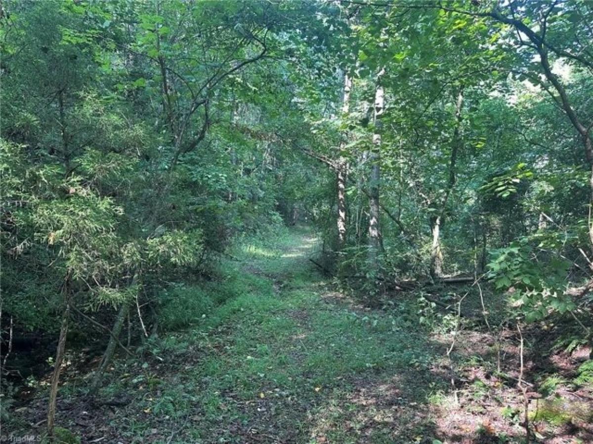 Picture of Residential Land For Sale in North Wilkesboro, North Carolina, United States