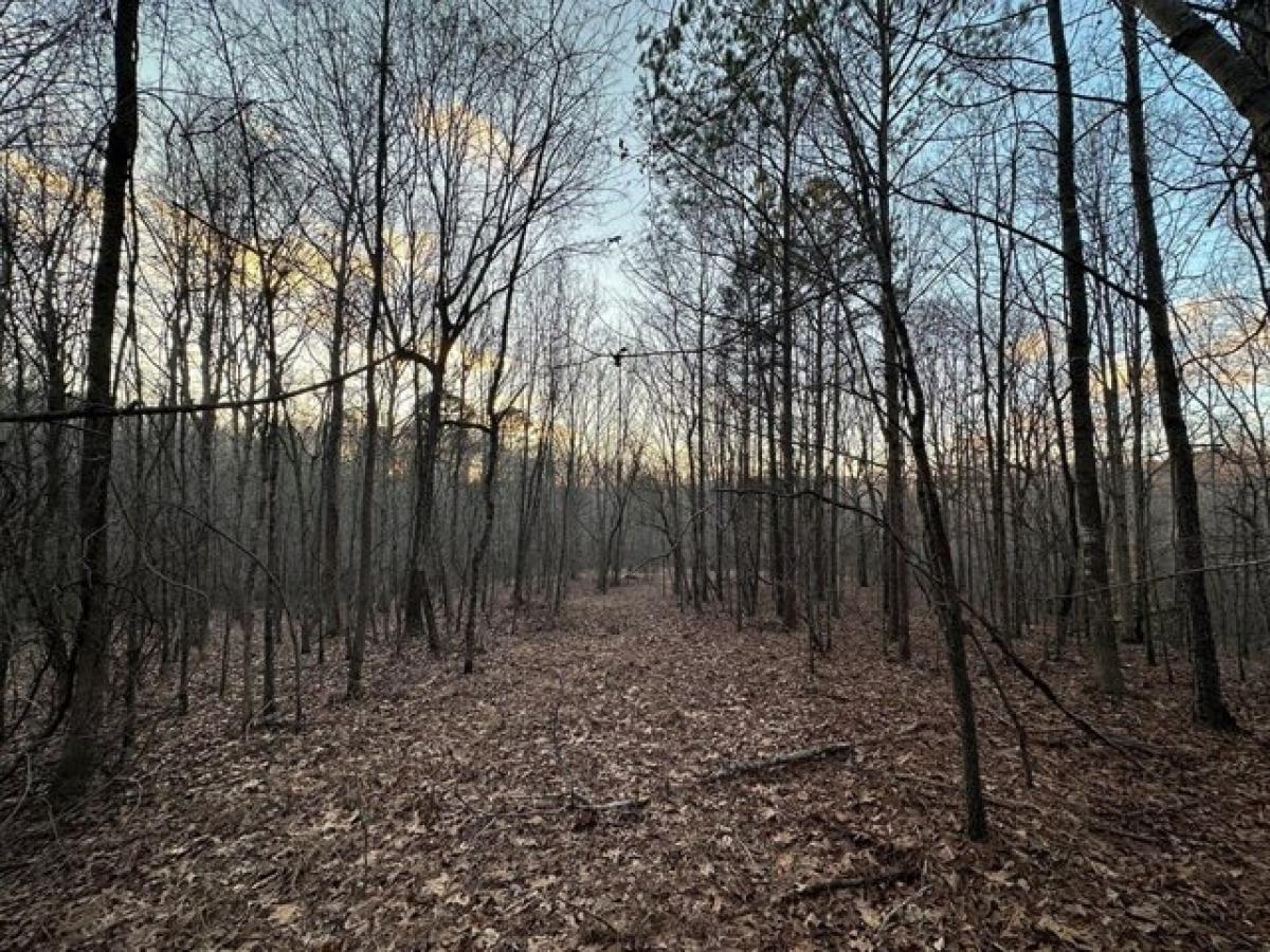 Picture of Residential Land For Sale in Oxford, Mississippi, United States