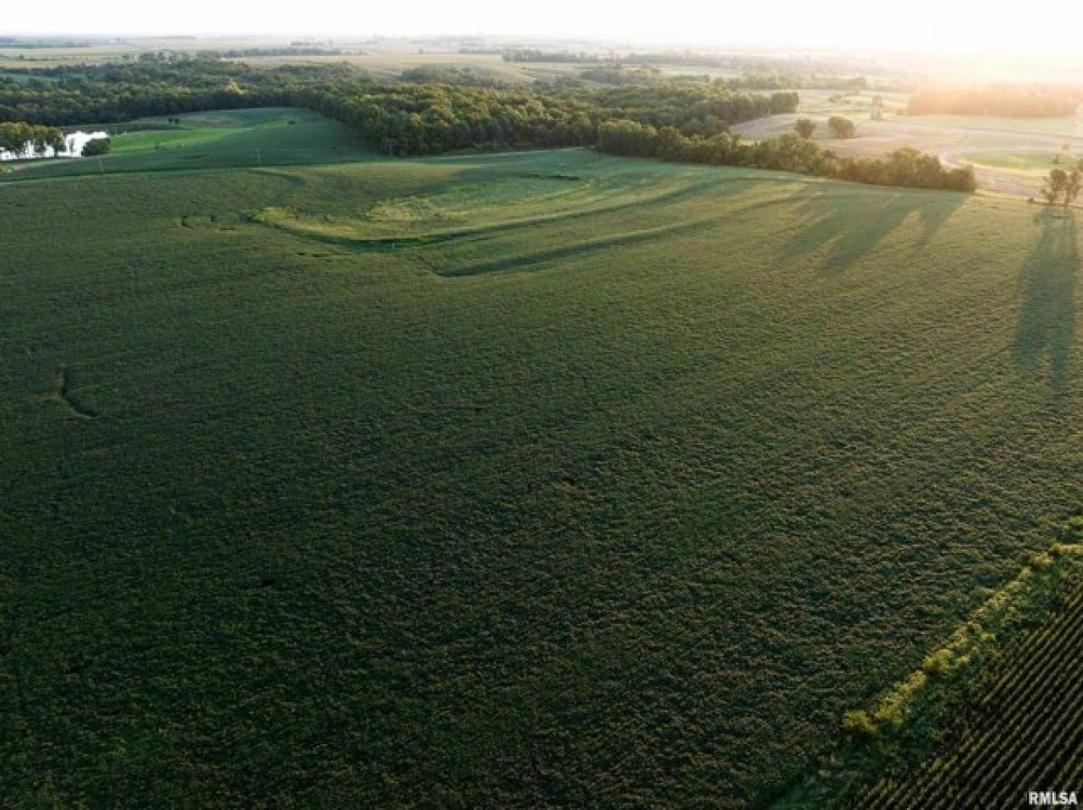 Picture of Residential Land For Sale in London Mills, Illinois, United States