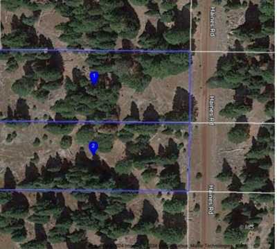 Residential Land For Sale in Alturas, California