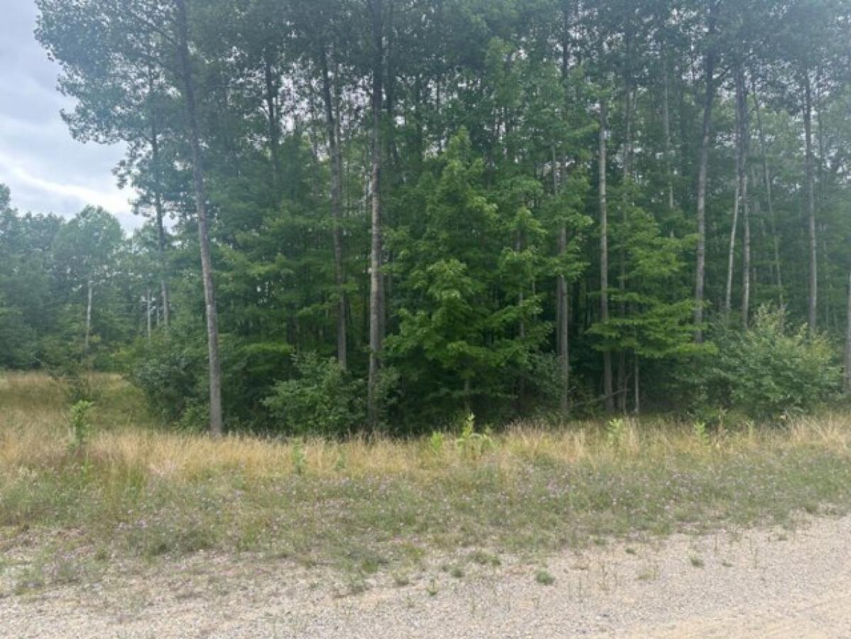 Picture of Residential Land For Sale in Roscommon, Michigan, United States