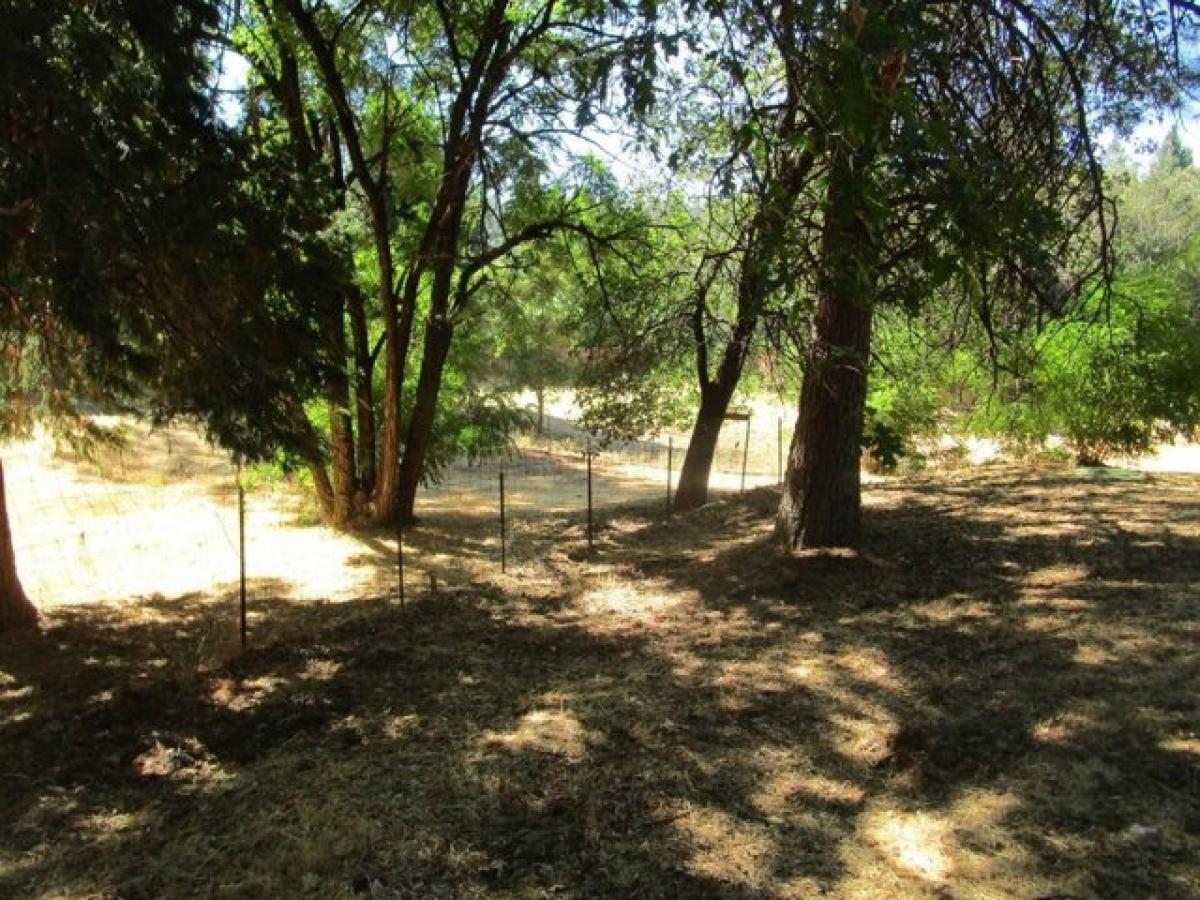 Picture of Home For Sale in North San Juan, California, United States