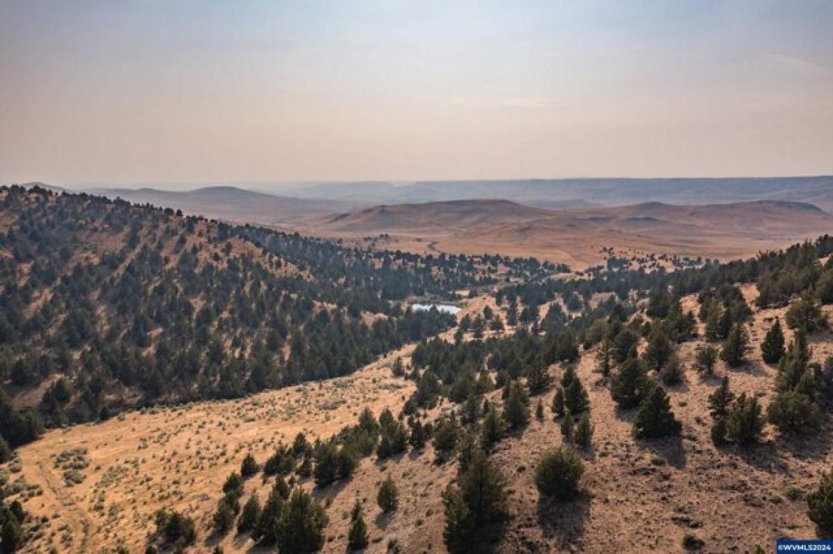 Picture of Home For Sale in Antelope, Oregon, United States