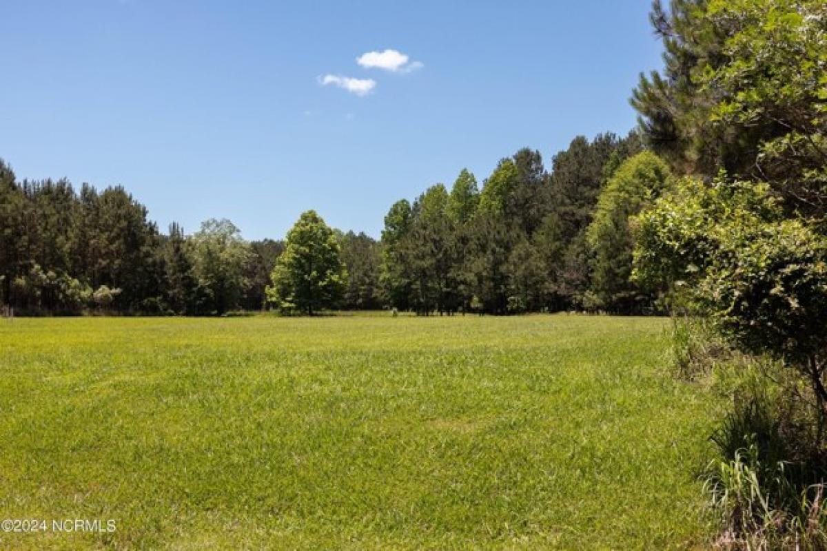 Picture of Residential Land For Sale in Edenton, North Carolina, United States