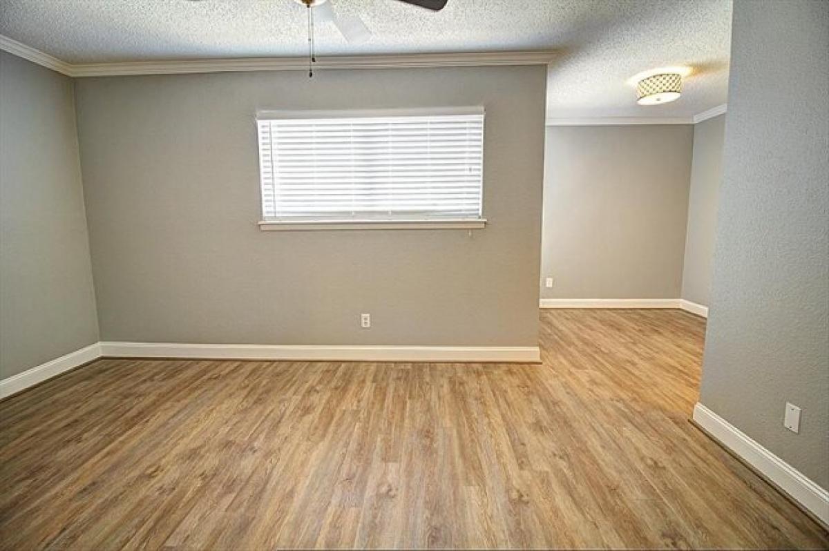 Picture of Home For Rent in Bellaire, Texas, United States