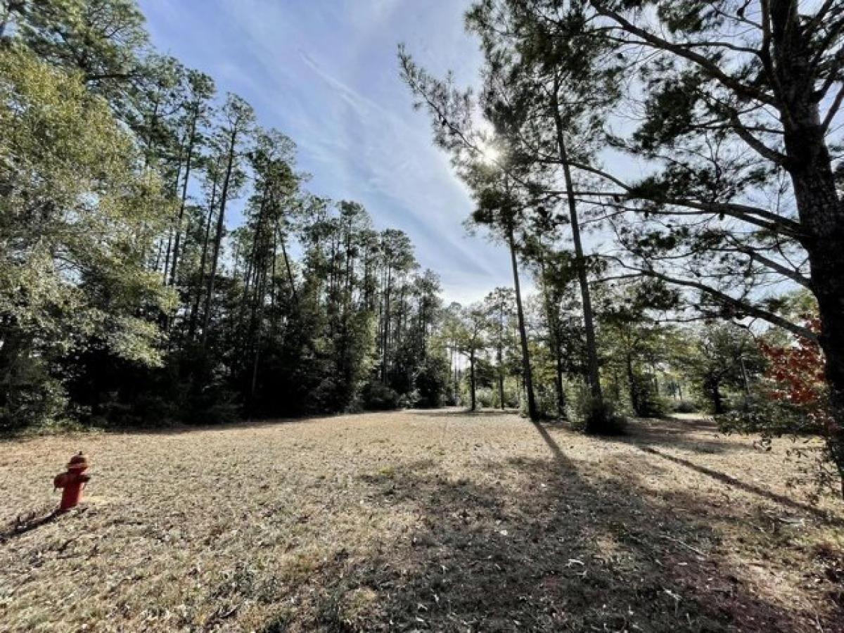 Picture of Residential Land For Sale in Defuniak Springs, Florida, United States