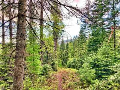 Residential Land For Sale in Sandpoint, Idaho