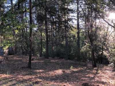 Residential Land For Sale in Placerville, California