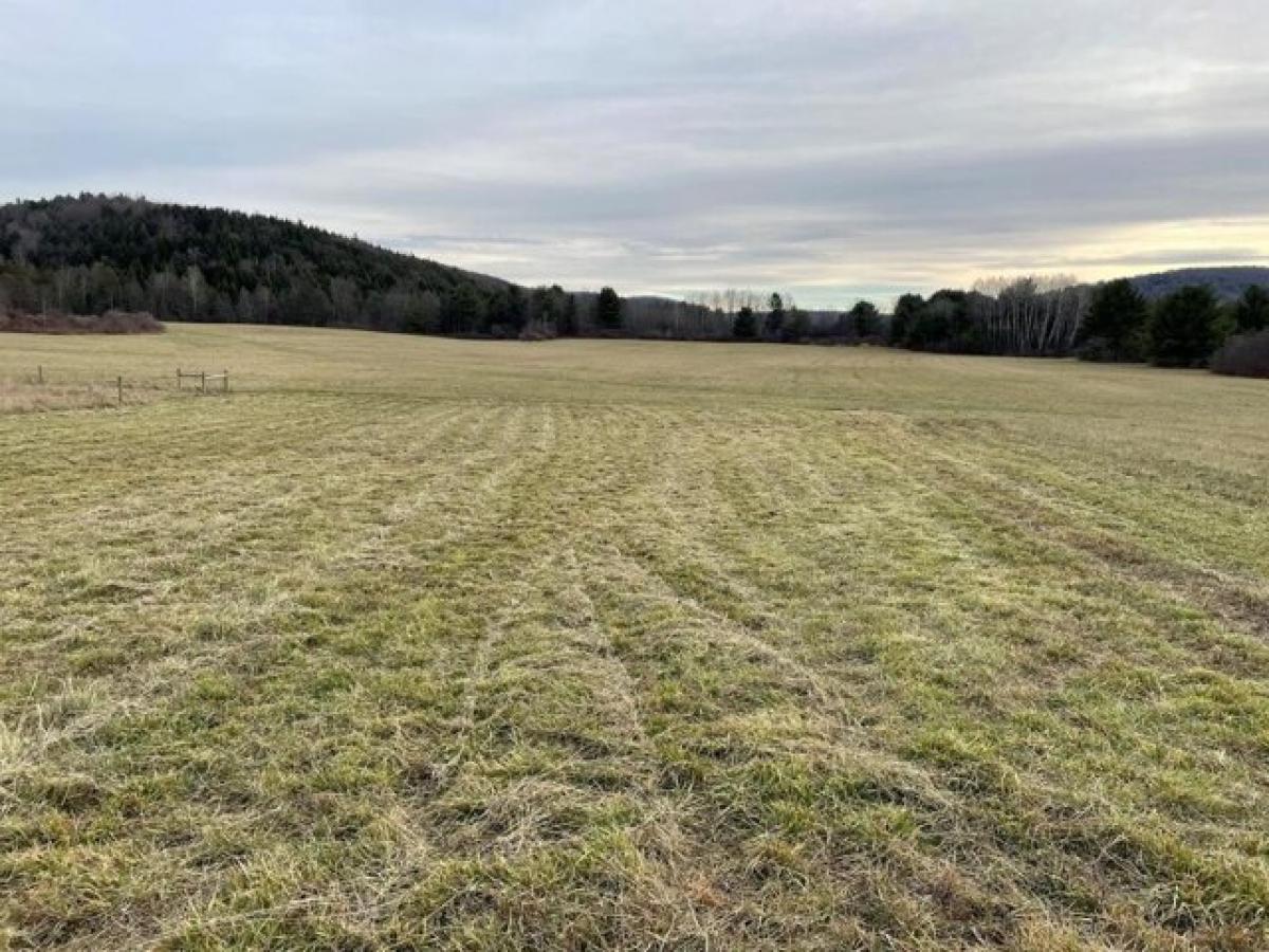 Picture of Residential Land For Sale in Montour Falls, New York, United States