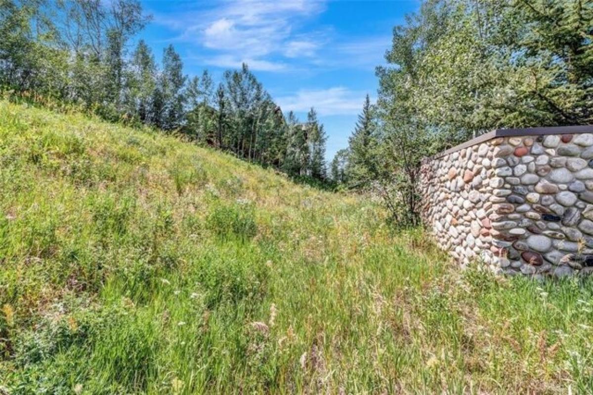 Picture of Residential Land For Sale in Steamboat Springs, Colorado, United States