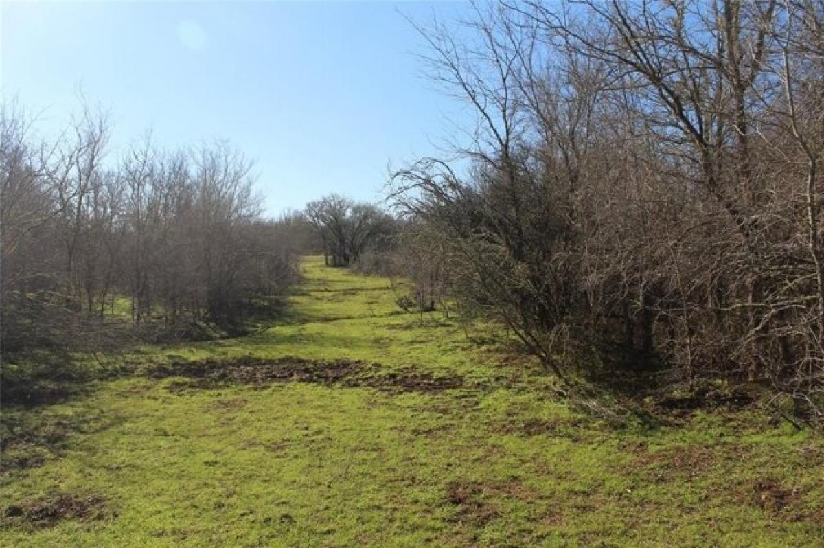 Picture of Residential Land For Sale in Dime Box, Texas, United States