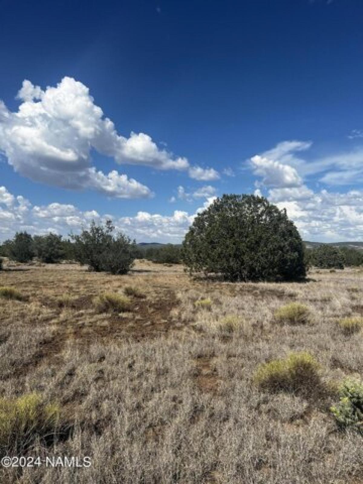 Picture of Residential Land For Sale in Ash Fork, Arizona, United States