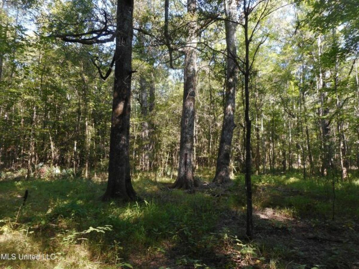 Picture of Residential Land For Sale in Carthage, Mississippi, United States