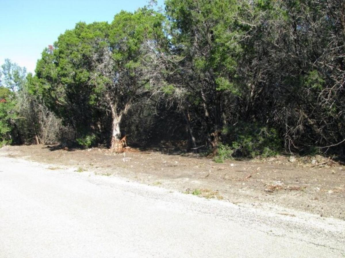 Picture of Residential Land For Sale in Purmela, Texas, United States