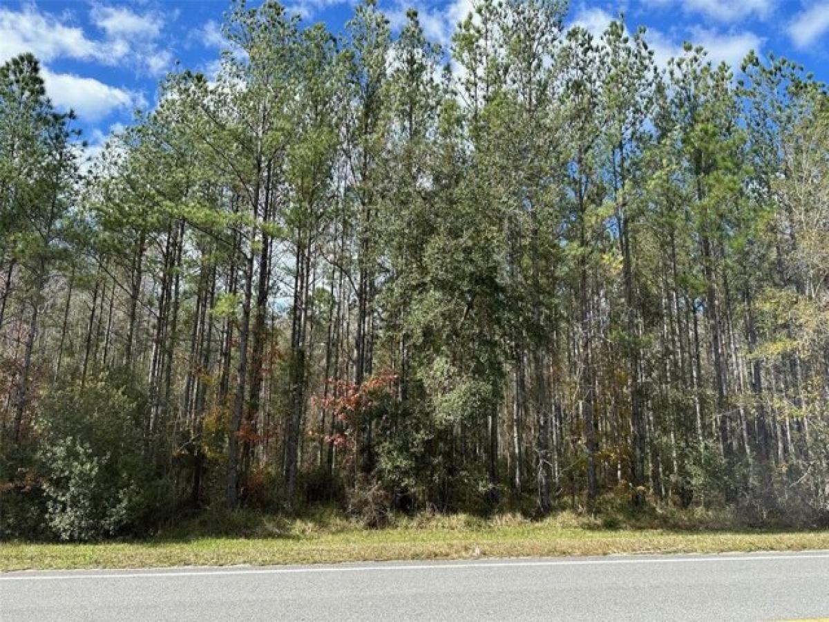 Picture of Residential Land For Sale in Fort Mccoy, Florida, United States