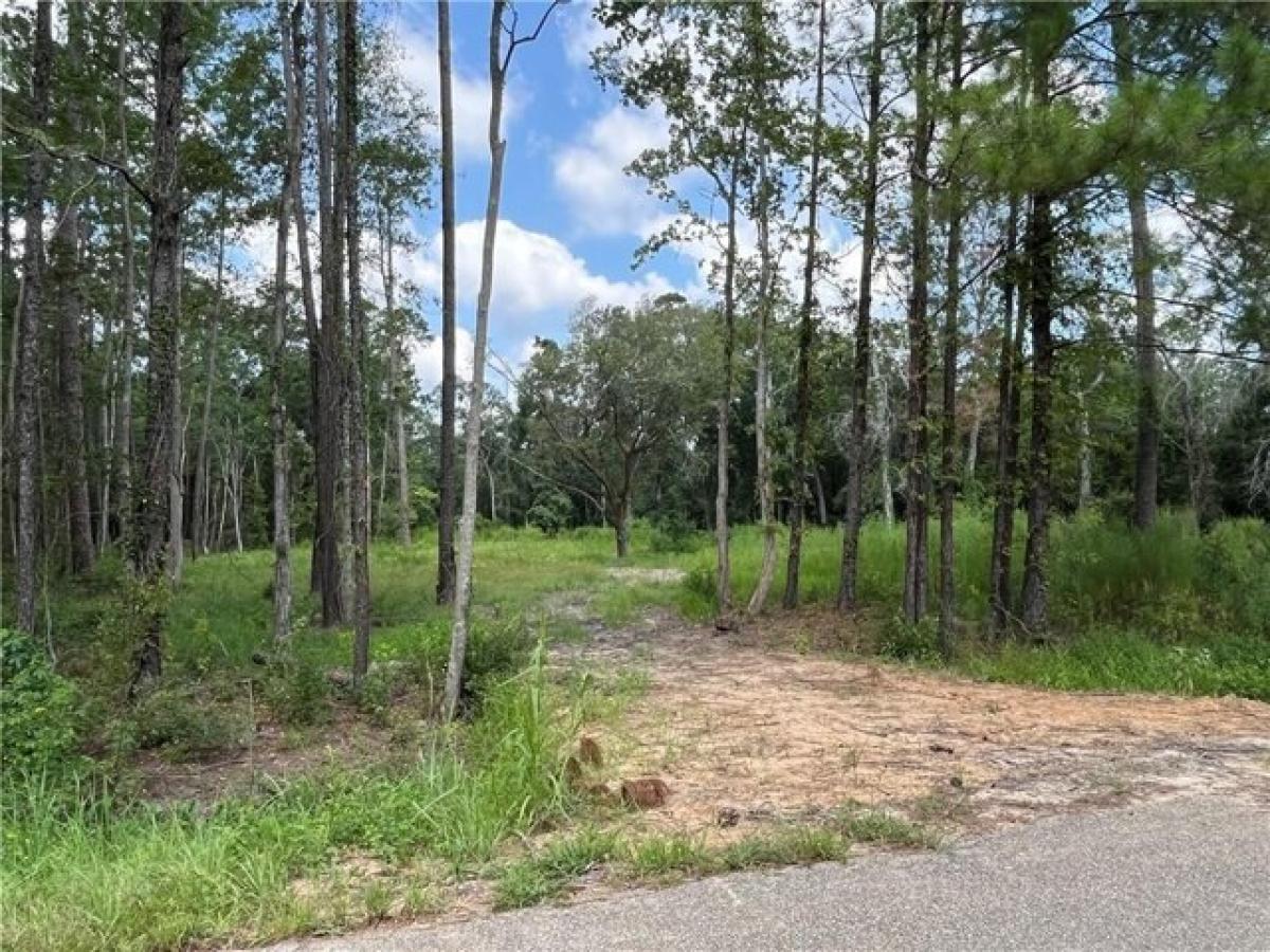 Picture of Residential Land For Sale in Madisonville, Louisiana, United States