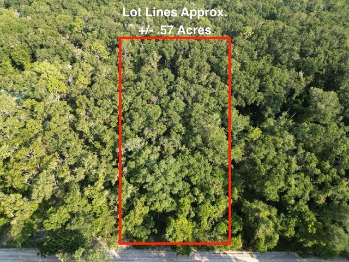 Picture of Residential Land For Sale in Bell, Florida, United States