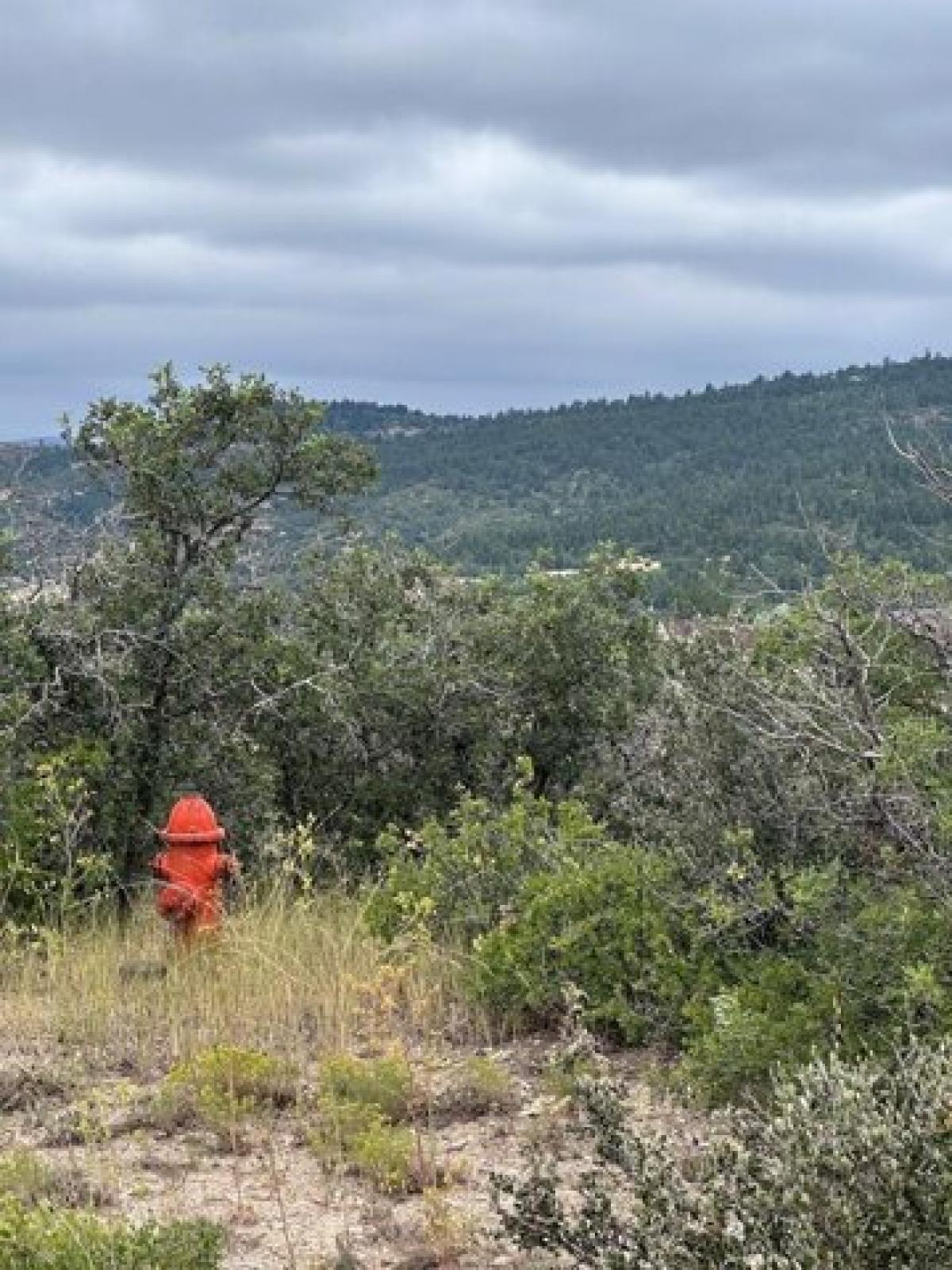 Picture of Residential Land For Rent in Colorado City, Colorado, United States