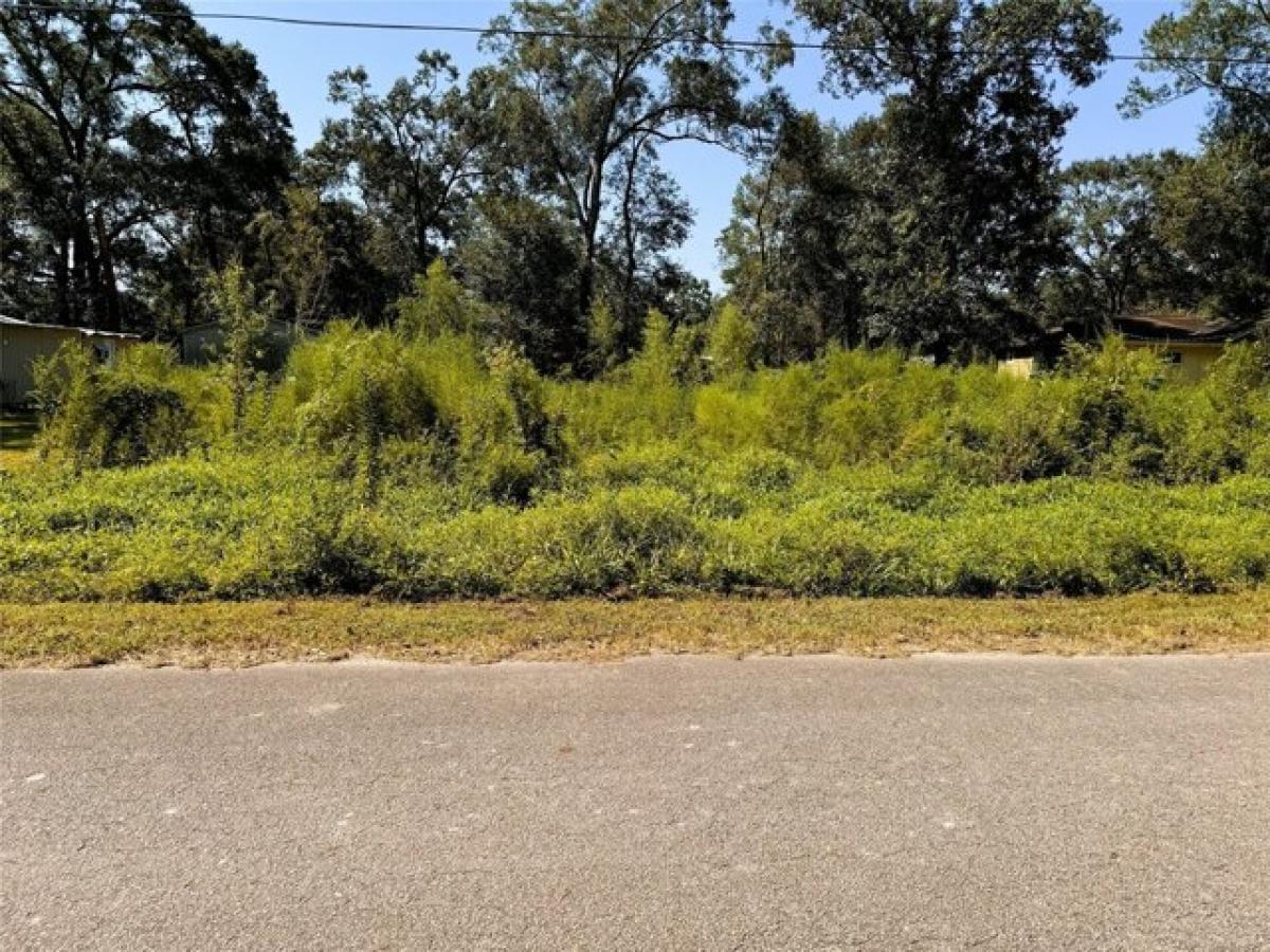 Picture of Residential Land For Sale in New Caney, Texas, United States