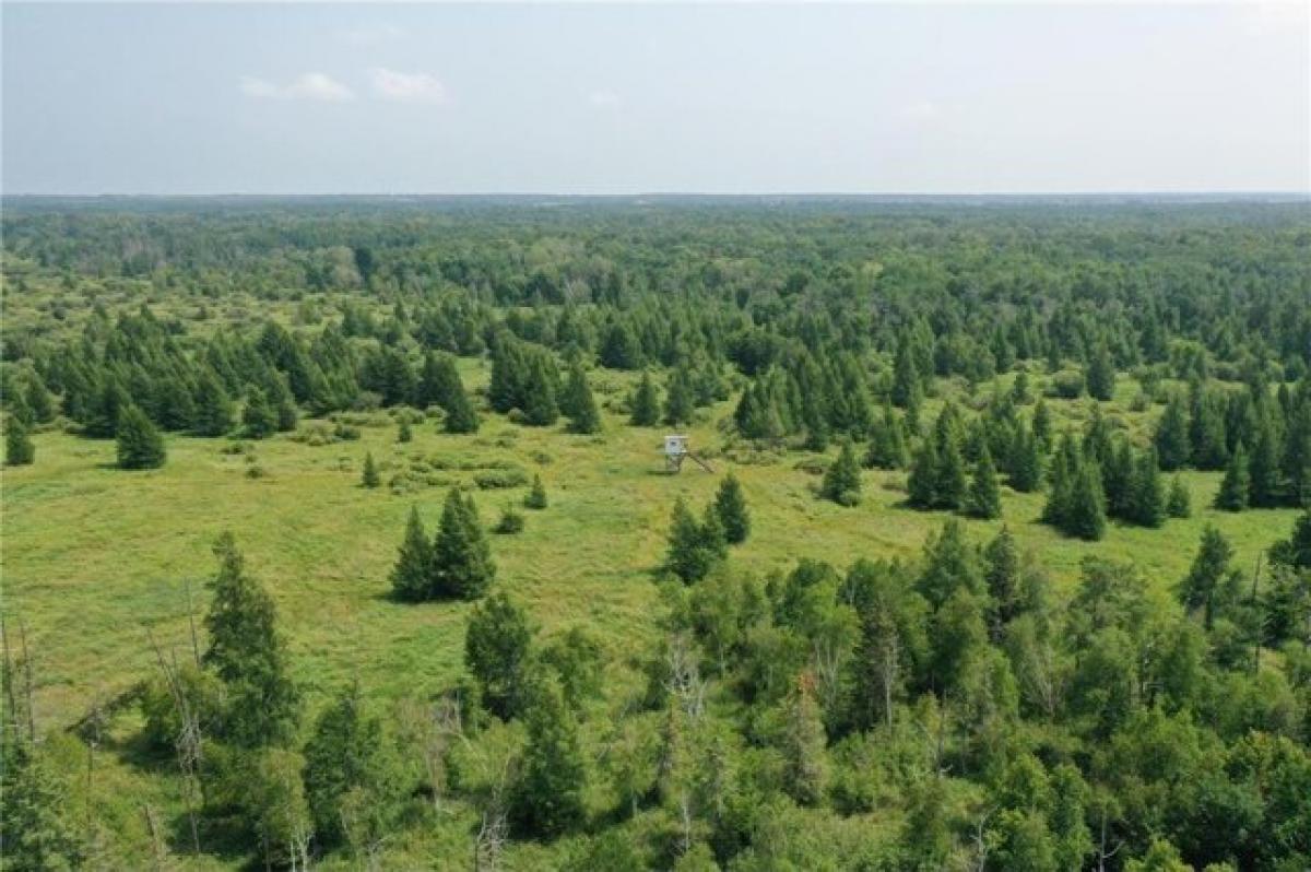 Picture of Residential Land For Rent in Hewitt, Minnesota, United States