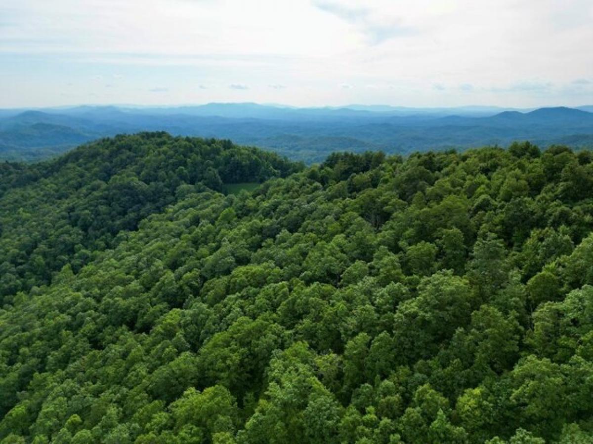 Picture of Residential Land For Sale in Murphy, North Carolina, United States