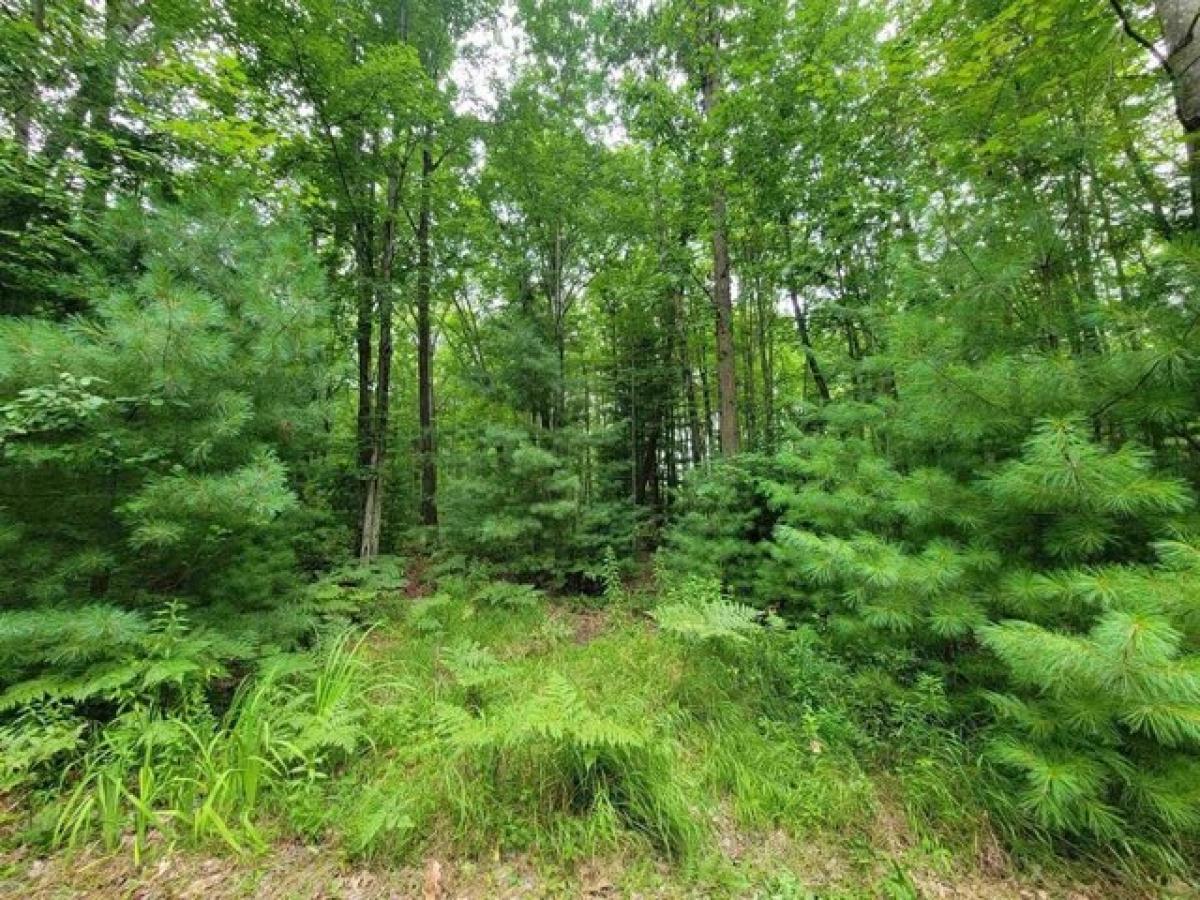 Picture of Residential Land For Sale in Beaverton, Michigan, United States