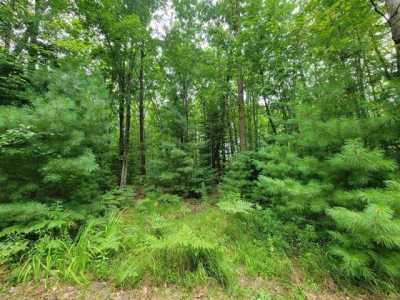 Residential Land For Sale in Beaverton, Michigan