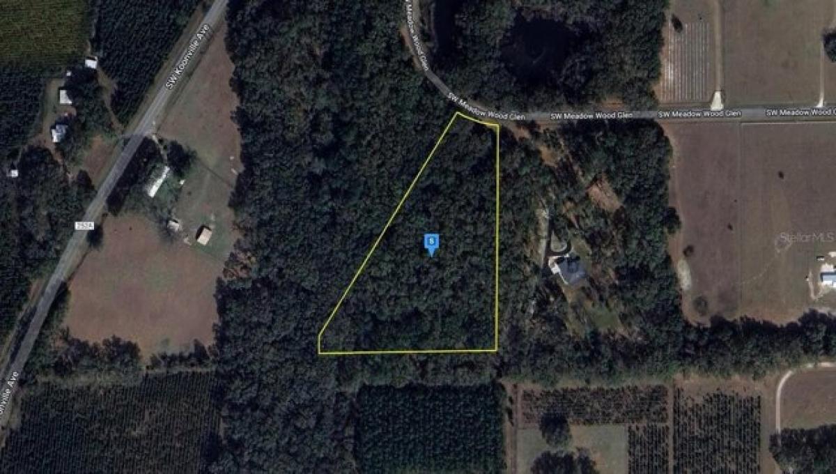 Picture of Residential Land For Sale in Lake City, Florida, United States