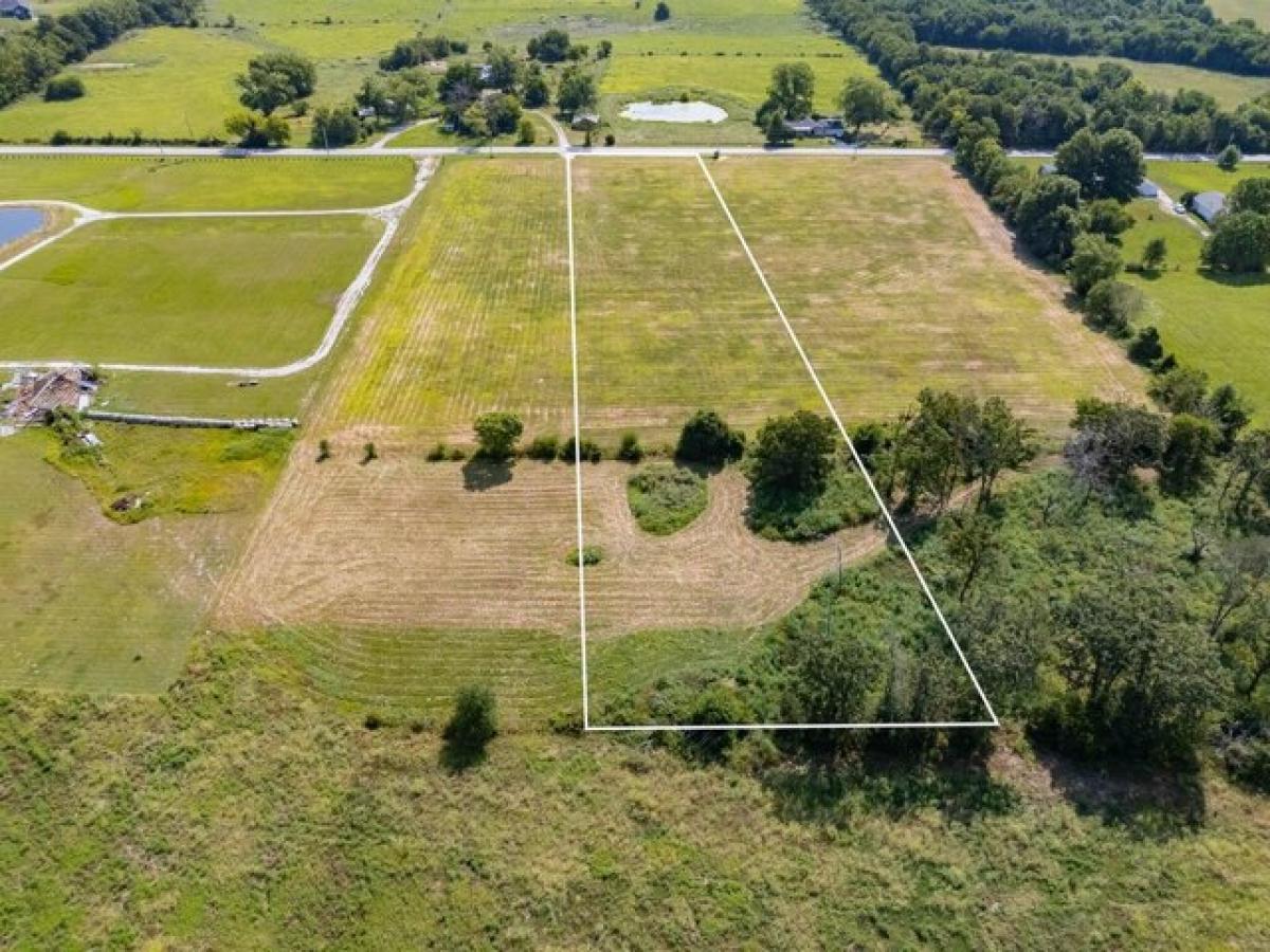 Picture of Residential Land For Sale in Rogersville, Missouri, United States