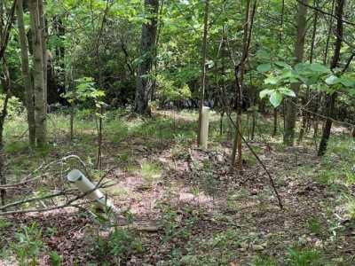 Residential Land For Sale in Fancy Gap, Virginia