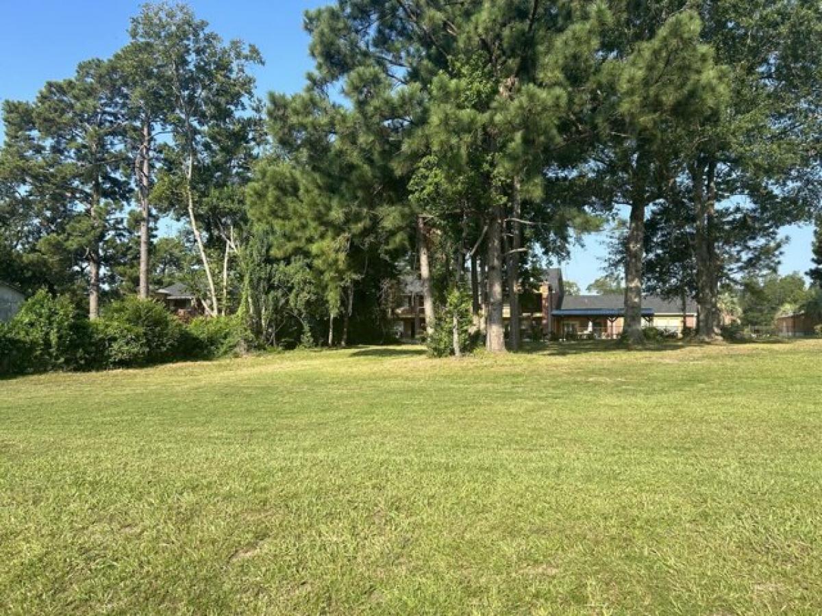 Picture of Residential Land For Sale in Deridder, Louisiana, United States