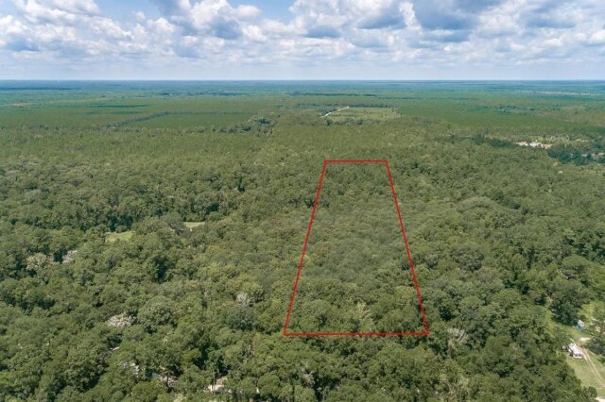 Picture of Residential Land For Sale in Crawfordville, Florida, United States