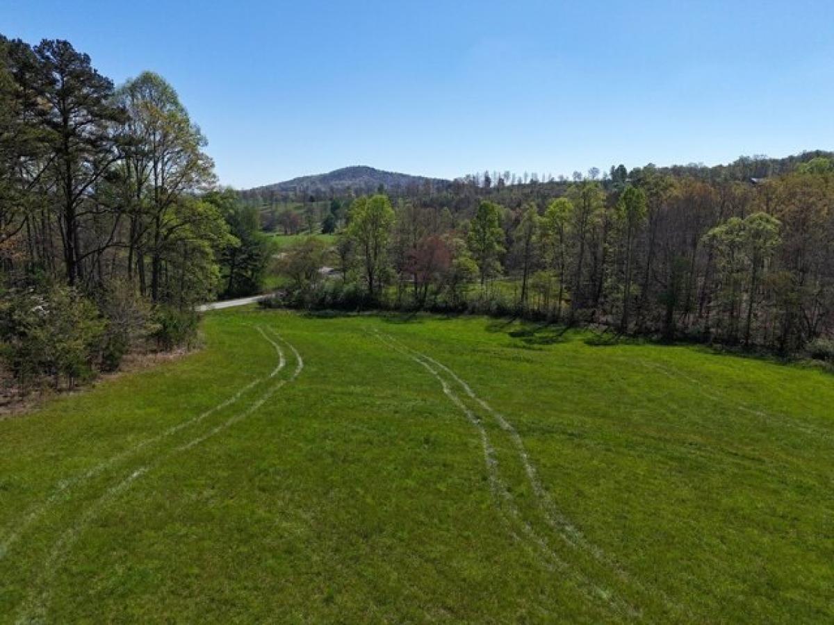 Picture of Residential Land For Sale in Blairsville, Georgia, United States