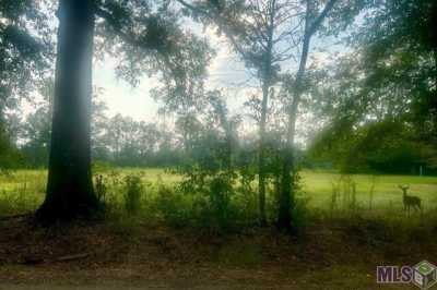 Residential Land For Sale in Amite, Louisiana