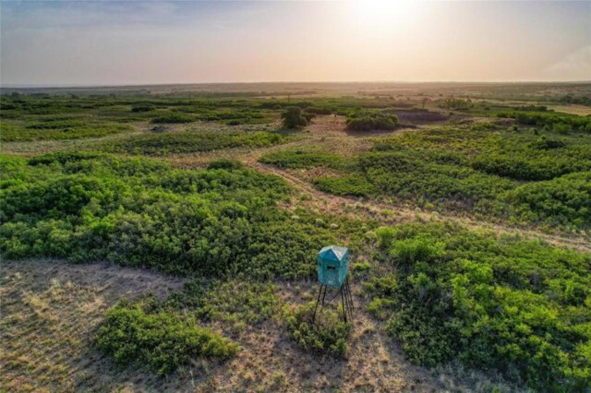 Picture of Residential Land For Sale in Childress, Texas, United States