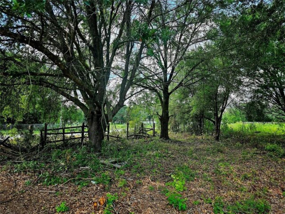 Picture of Residential Land For Sale in Lakeland, Florida, United States