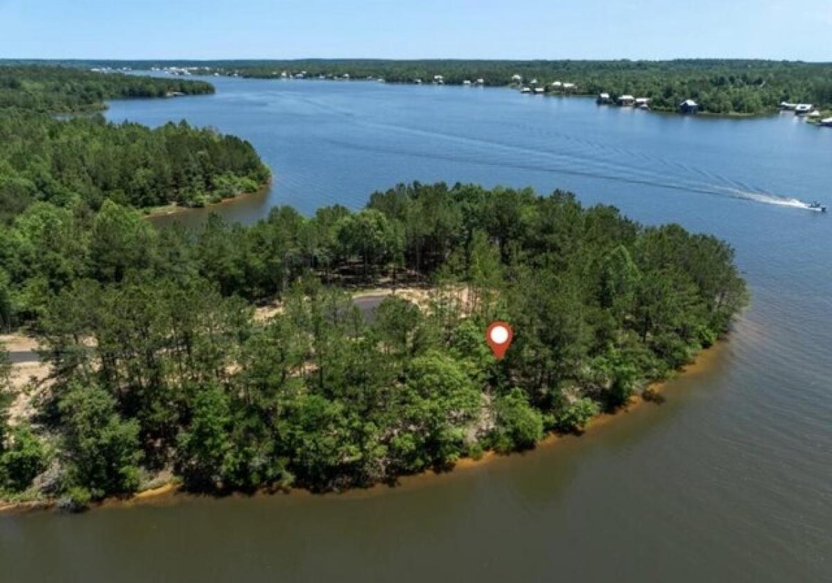 Picture of Residential Land For Sale in Lumberton, Mississippi, United States