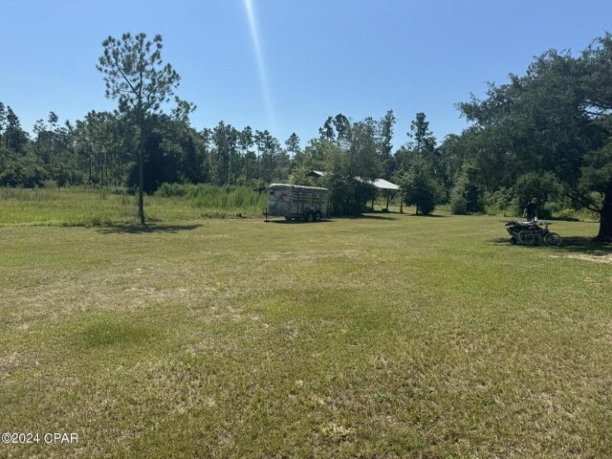 Picture of Home For Sale in Marianna, Florida, United States