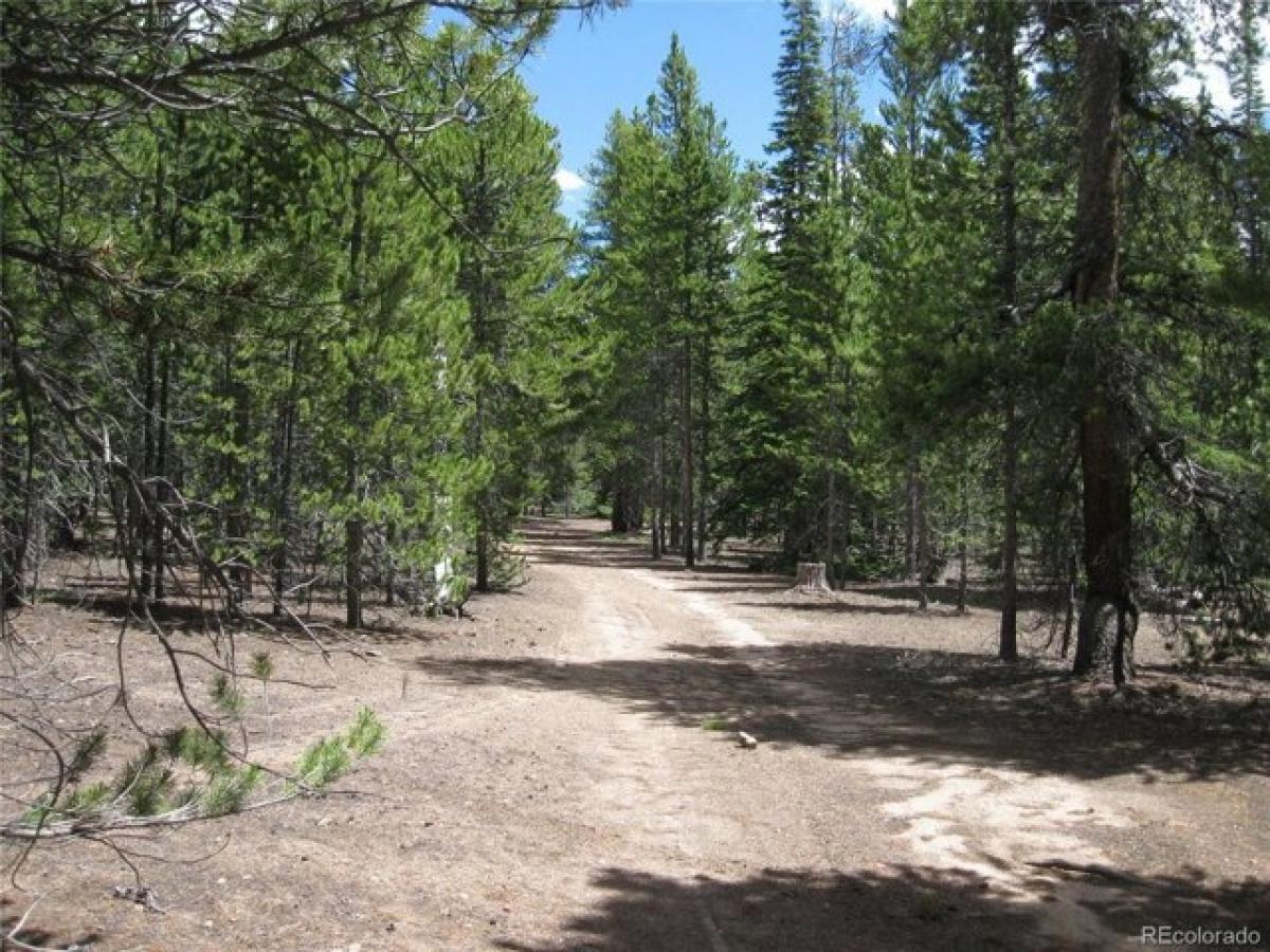 Picture of Residential Land For Sale in Leadville, Colorado, United States