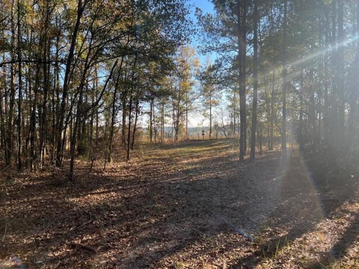 Picture of Residential Land For Sale in Clayton, Alabama, United States