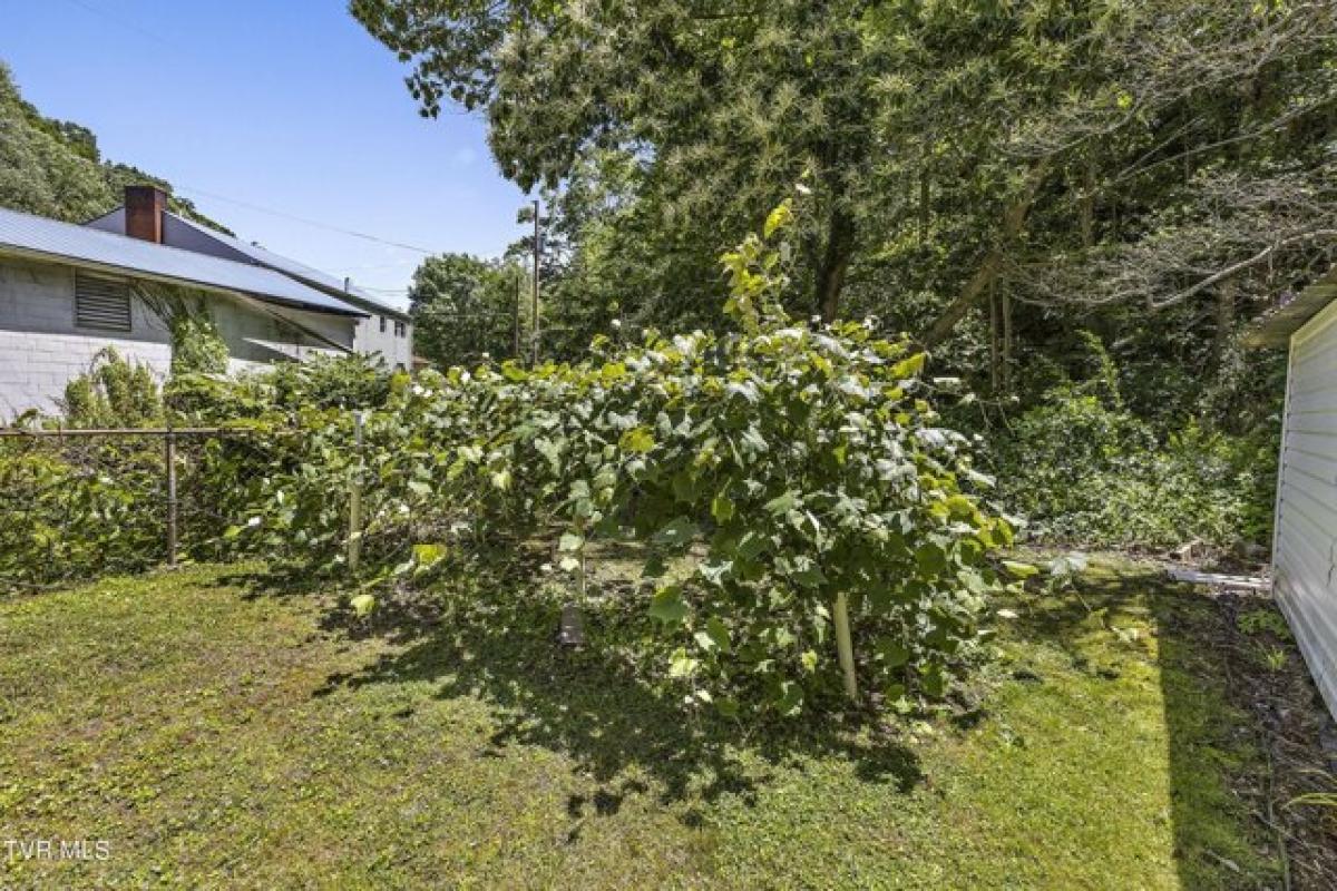 Picture of Home For Sale in Grundy, Virginia, United States