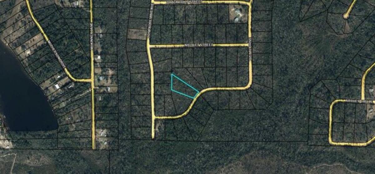 Picture of Residential Land For Sale in Alford, Florida, United States