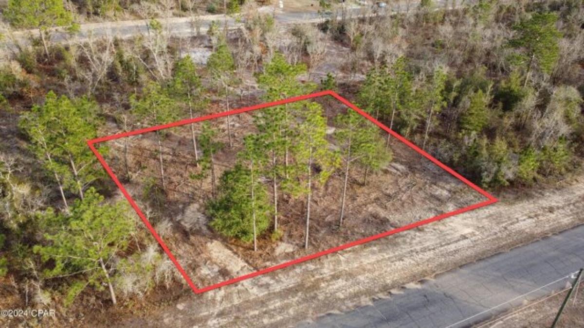 Picture of Residential Land For Sale in Chipley, Florida, United States