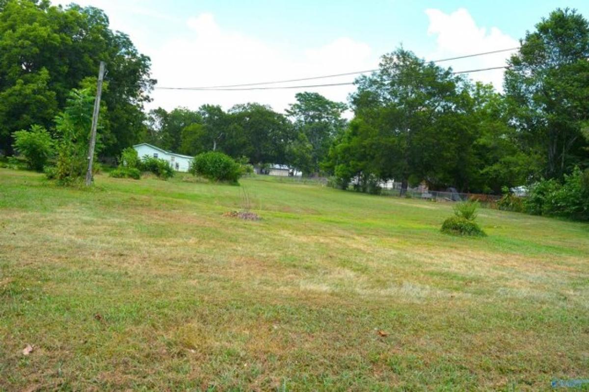 Picture of Residential Land For Sale in Scottsboro, Alabama, United States